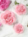 Scallop Shaped Tissue Flower 2pcs | 1ct - Zurchers
