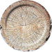 Cut Timber 7in Paper Plates 8pk | 1ct - Zurchers