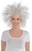 Crazy Silver Wig | Adult - Zurchers