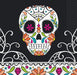 Day of the Dead Skull Beverage Napkins | 24ct - Zurchers