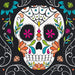Day of the Dead Skull Lunch Napkins | 20 ct - Zurchers