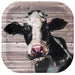 Farm Table Cow Square Plates 9" | 8 ct - Zurchers