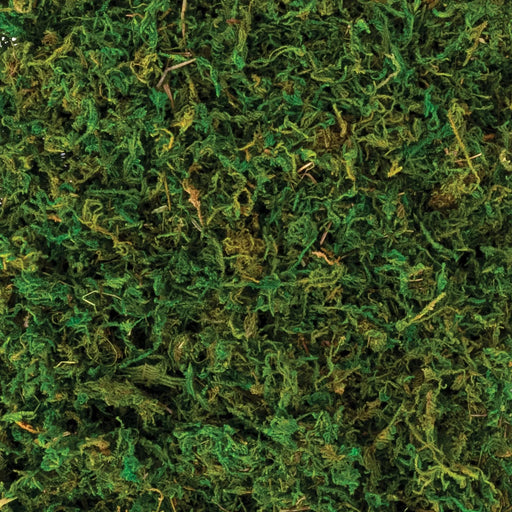 Halloween Natural Moss 4.2oz | 1ct - Zurchers