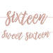 Sweet Sixteen Glitter Letter Banner 12ft | 2pcs - Zurchers