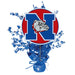 Nampa High School Centerpiece Spray 14" | 1 ct - Zurchers