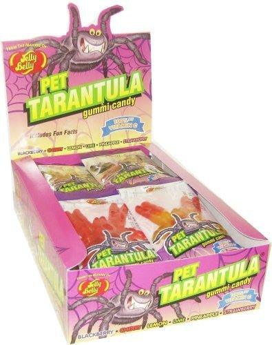 Pet Tarantula Gummi Candy | 24 ct - Zurchers