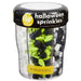 Place & Time Halloween Spooktacular Shapes 6 Cell 6.45 oz. | 1ct - Zurchers