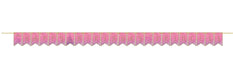 Princess Happy Birthday Pennant Banner | 1 ct - Zurchers