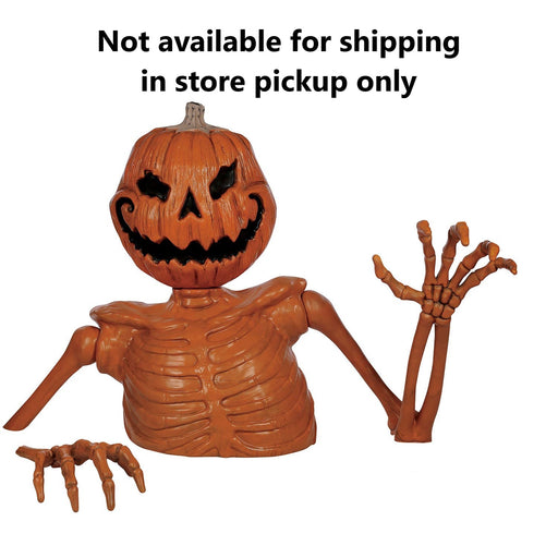 Ground Breaking Pumpkin Skeleton 48" | 1 ct - Zurchers