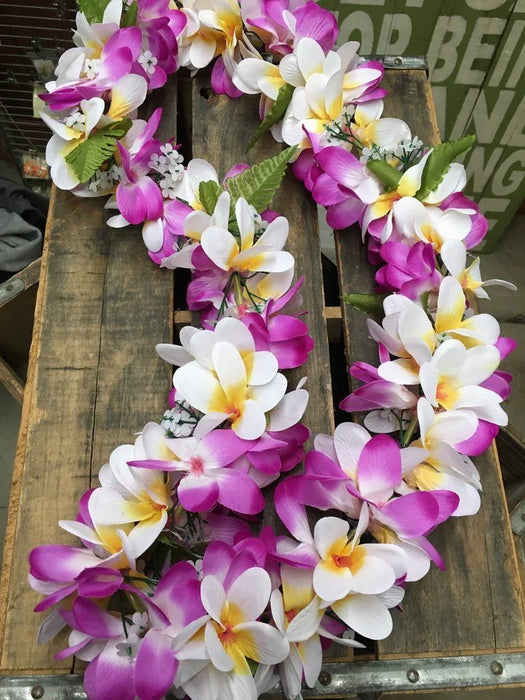 Purple/White & Orange/White Plumeria Lei | 1ct - Zurchers