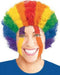 Rainbow Curly Wig - Zurchers