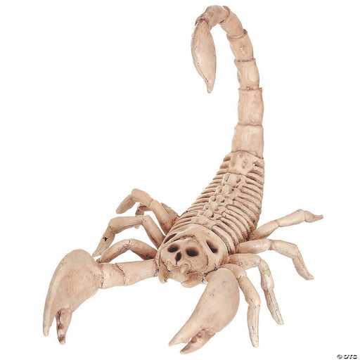 Skeleton Crazy Bonez Scorpion 9" | 1ct - Zurchers