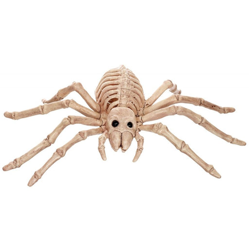 Skeleton Crazy Bonez Spide 10" | 1ct - Zurchers