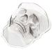 Skull Shaped Treat Mold | 1ct. - Zurchers