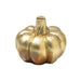 Thanksgiving Pumpkin Place Card Holders 1.25" | 6 ct - Zurchers