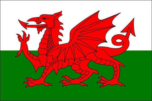  Flag of Wales with a red dragon passant on a green and white field.
