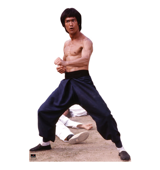 Life-size cardboard cutout of a shirtless martial artist in wide-legged black pants and slip-on shoes, standing in a defensive stance with fists clenched, while a person in a white uniform lies on the ground behind him.
