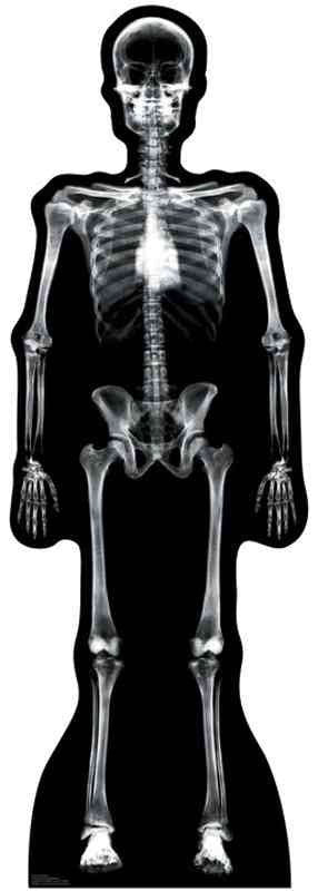 A full-body X-ray style image of a human skeleton displayed against a black silhouette background.