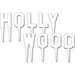 Hollywood Plastic Picks 