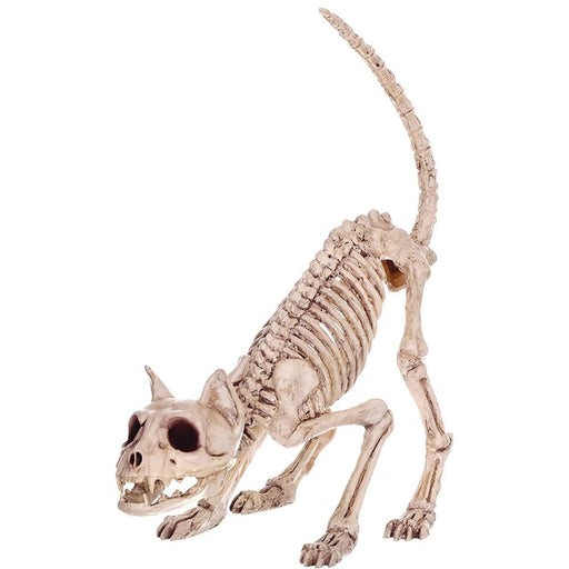 Halloween Skeleton Cat - Zurchers