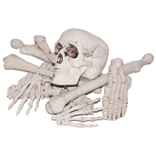 Bag Of Bones | 12 pcs - Zurchers