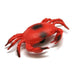 A red plastic crab toy with detailed claws and legs. The crab features black accents on the claws and legs,  giving it a more realistic appearance. Commonly used as a novelty item, decoration, or for educational purposes.