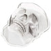 Skull Shaped Treat Mold | 1ct. - Zurchers