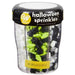 Place & Time Halloween Spooktacular Shapes 6 Cell 6.45 oz. | 1ct - Zurchers