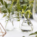 Assorted Glass Mini Vase Set | 3 pc - Zurchers