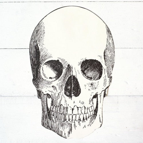 Die - Cut Skull Placemat | 12 ct - Zurchers