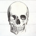 Die - Cut Skull Placemat | 12 ct - Zurchers