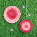 Starburst Tissue Flowers 2pcs | 1ct - Zurchers