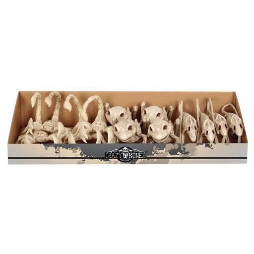 Mini Skeleton Creatures Assrt | 1ct - Zurchers