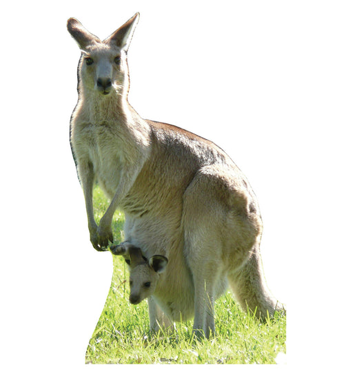 Life-size cardboard cutout of a kangaroo standing on green grass with a joey peeking out from her pouch. The kangaroo has a light brown coat with pale underparts, upright ears, and alert posture, set against a plain white background.