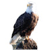 Cardboard cutout of a bald eagle perched on a rock. The eagle has a white head and tail, dark brown body and wings, and yellow beak and talons. It is gazing to the right against a plain white background.