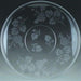 Clear glass serving plate featuring an etched grapevine design with clusters of grapes and leaves arranged symmetrically around the center.