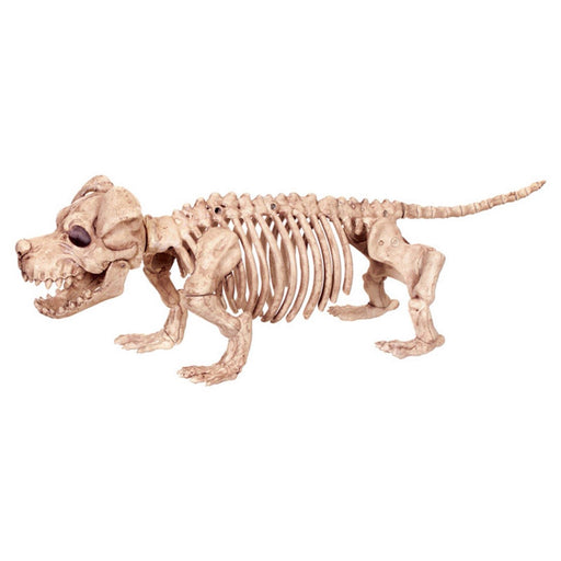 6.75in Puppy Bonez | 1ct - Zurchers