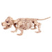 6.75in Puppy Bonez | 1ct - Zurchers