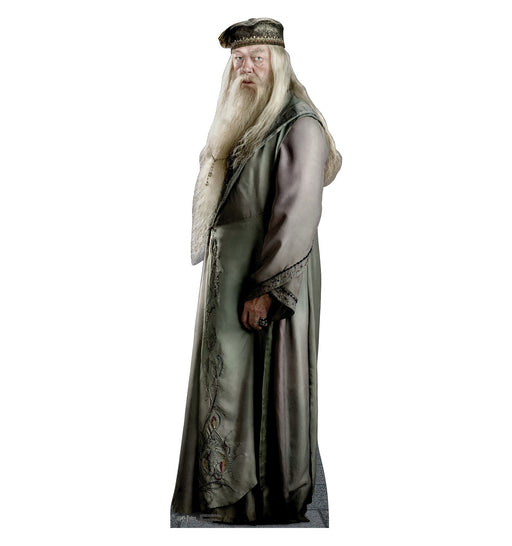 A cardboard cutout of Albus Dumbledore from the Harry Potter series, wearing a long embroidered robe, fur-trimmed cloak, and a hat, with a long white beard and hair.