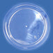 Clear round plastic plate placed on a blue surface, with a smooth rim and slight reflections indicating a glossy finish.