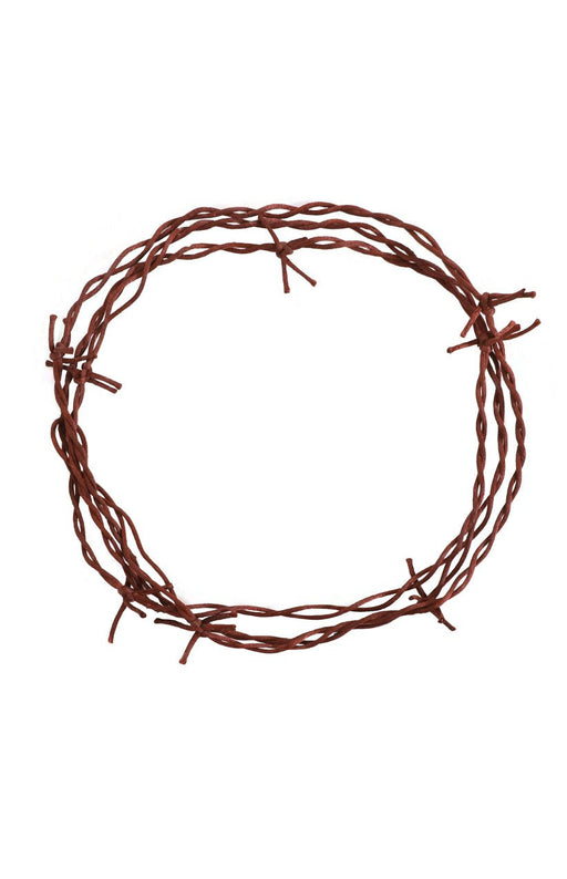 Rusty Barbwire Garland 12ft | 1ct - Zurchers