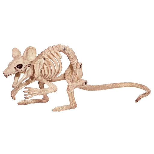 5in Mouse Skeleton | 1ct - Zurchers