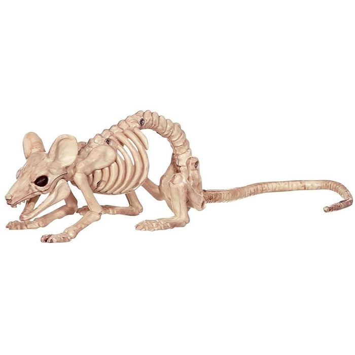 5in Mouse Skeleton | 1ct - Zurchers