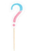 The Big Reveal Party Picks | 24ct - Zurchers