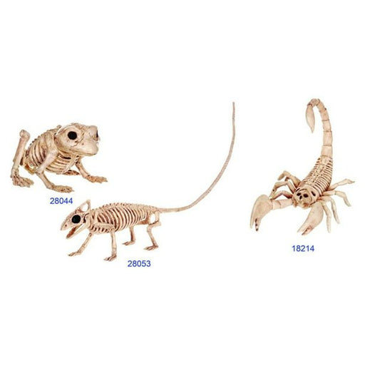 Mini Skeleton Creatures Assrt | 1ct - Zurchers