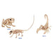 Mini Skeleton Creatures Assrt | 1ct - Zurchers