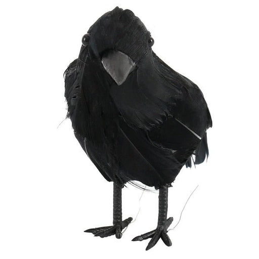 5in Crow | 1 ct - Zurchers