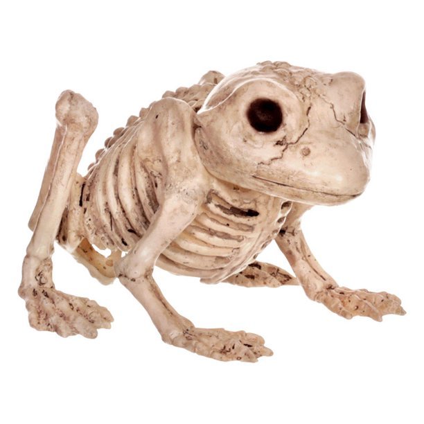 Mini Skeleton Creatures Assrt | 1ct - Zurchers