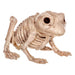 Mini Skeleton Creatures Assrt | 1ct - Zurchers