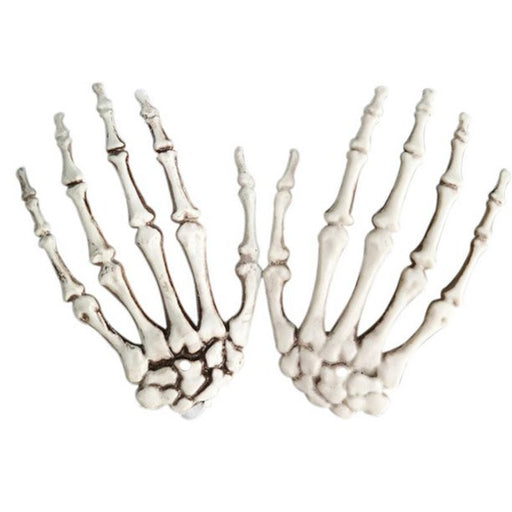 Skeleton Hand Bone Left or Right 8"| 1 ct - Zurchers